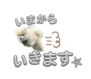 858064569