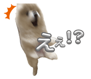 858064570