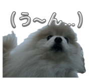 858064574