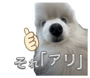 858064576