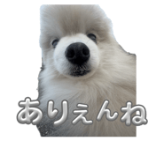 858064577