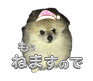 858064584