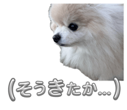 858064585