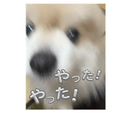 858064591