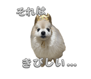 858064602