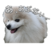 858064603