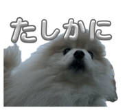 858064606