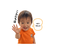 858064650