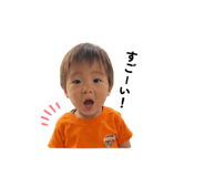 858064655
