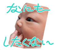 858064976