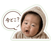 858065007