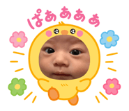 858065113
