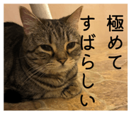 858065149
