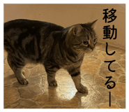 858065151