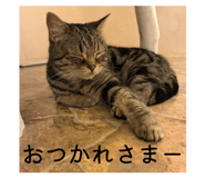 858065153