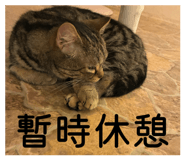 858065157