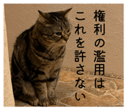 858065158