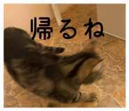 858065159