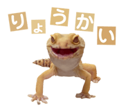 858065209