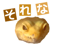 858065210