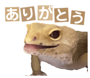 858065212
