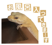 858065213