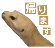 858065214