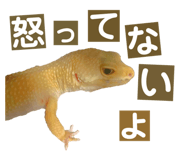 858065216