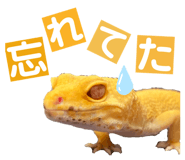 858065218