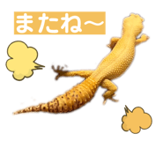 858065219