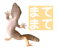 858065220
