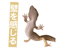 858065221