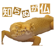 858065222