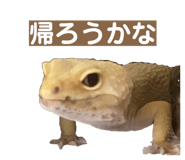 858065223