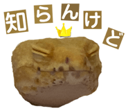 858065224