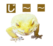 858065225