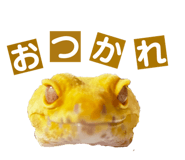 858065226