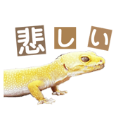 858065228