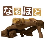 858065230