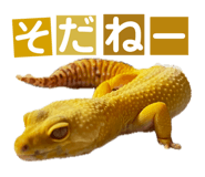 858065231