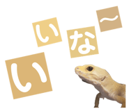 858065232