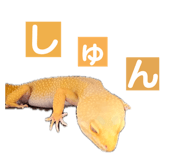 858065235