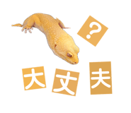 858065236