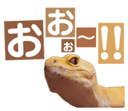 858065237