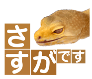 858065238