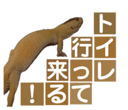 858065239
