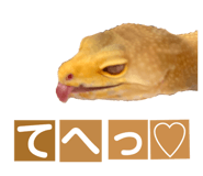 858065240