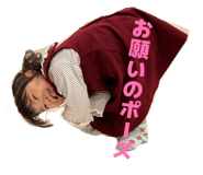 858065287