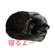 858065818