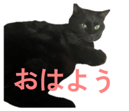 858065825